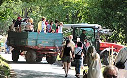 Schlepperrundfahrt ist der Hit beim Hoffest